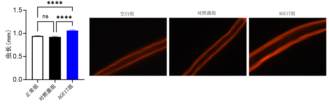 2036df2532908941e6f108cfff62a945.png
